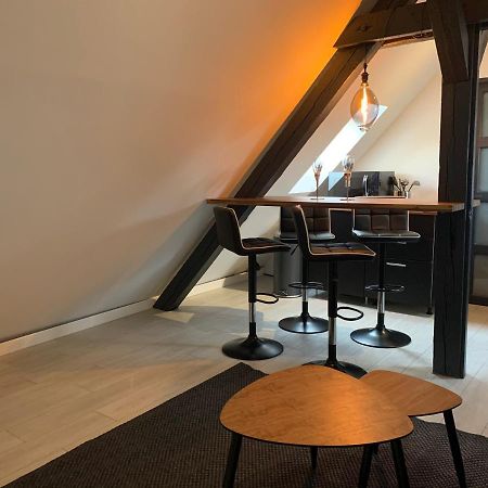 コルマールCocoon Loftアパートメント エクステリア 写真
