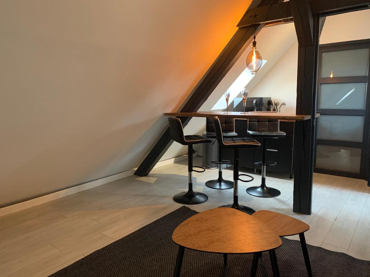 コルマールCocoon Loftアパートメント エクステリア 写真