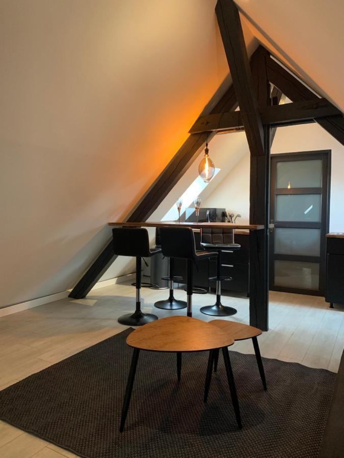 コルマールCocoon Loftアパートメント エクステリア 写真